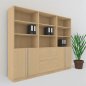 Preview: Büro Schrankwand MS8 Breite 240 cm Höhe 200,4 cm 2 Schränke und ein Regal mit Hängeregister Dekor Ahorn