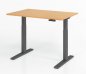 Preview: Schreibtisch 120 x 80 cm elektrisch höhenverstellbar Gestell Grafit Tischplatte Buche