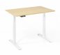 Preview: elektrisch höhenverstellbarer Schreibtisch 120 x 80 cm BaseLite Ahorn Weiß