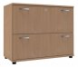 Preview: Registerschrank TEN 2 Ordnerhöhen, 100 cm breit Buche