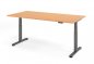 Preview: Schreibtisch DSM 200x100 cm elektrisch höhenverstellbar Buche-Grafit