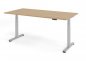 Preview: Schreibtisch DSM 200x100 cm elektrisch höhenverstellbar Eiche-Silber