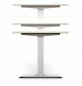 Preview: Schreibtisch GE12 120x80 cm elektrisch höhenverstellbar