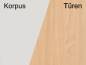 Preview: Korpus Lichtgrau Türen Buche