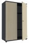 Preview: Aktenschrank TEN 4 Ordnerhöhen, 100 cm breit onyxgrau/Ahorn