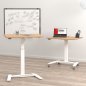 Preview: Steh-Sitz-Tisch CSW 100x60 cm elektrisch höhenverstellbar