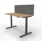 Preview: Schreibtisch DMS 160 cm mit Trennwand Ahorn-Grafit