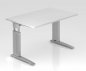 Preview: Schreibtisch Unna 120 cm Silber Weiss