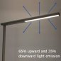 Preview: LED-Standleuchte MAULjet - silber Beleuchtung
