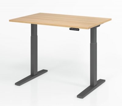 Schreibtisch 120 x 80 cm elektrisch höhenverstellbar Gestell Grafit Tischplatte Eiche