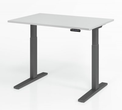 Schreibtisch 120 x 80 cm elektrisch höhenverstellbar Gestell Grafit Tischplatte Lichtgrau