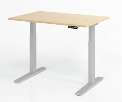 Schreibtisch 120 x 80 cm elektrisch höhenverstellbar Gestell Silber Tischplatte Ahorn