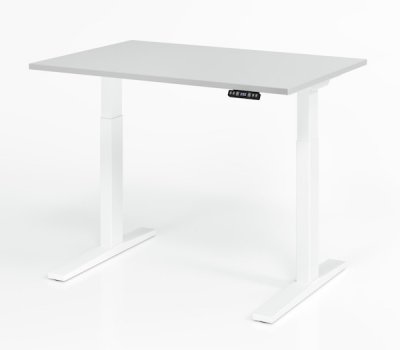 Schreibtisch 120 x 80 cm elektrisch höhenverstellbar Gestell Weiß Tischplatte Lichtgrau