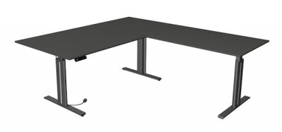 Elektrischer Winkelschreibtisch 200 x 220 cm Tischplatten Anthrazit