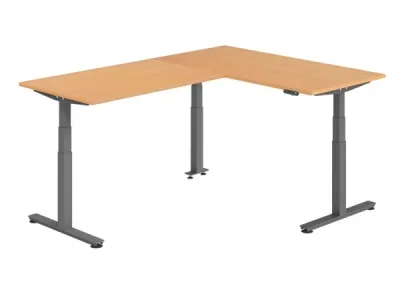 Winkelschreibtisch DSM L-Form 160 x 200 cm Gestell Grafit Tischplatte Buche