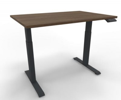 Elektrisch höhenverstellbarer Schreibtisch GE12 120x80 cm Anthrazit-Nussbaum