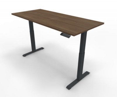 Elektrisch höhenverstellbarer Schreibtisch GE18 180x80 cm Anthrazit-Nussbaum