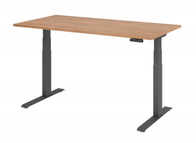 Schreibtisch HDK 160 cm elektrisch höhenverstellbar graphit nussbaum