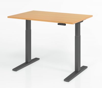 Schreibtisch 120 x 80 cm elektrisch höhenverstellbar Gestell Grafit Tischplatte Buche
