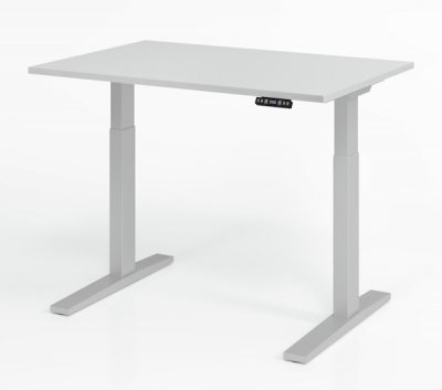 Schreibtisch 120 x 80 cm elektrisch höhenverstellbar Gestell Silber Tischplatte Lichtgrau
